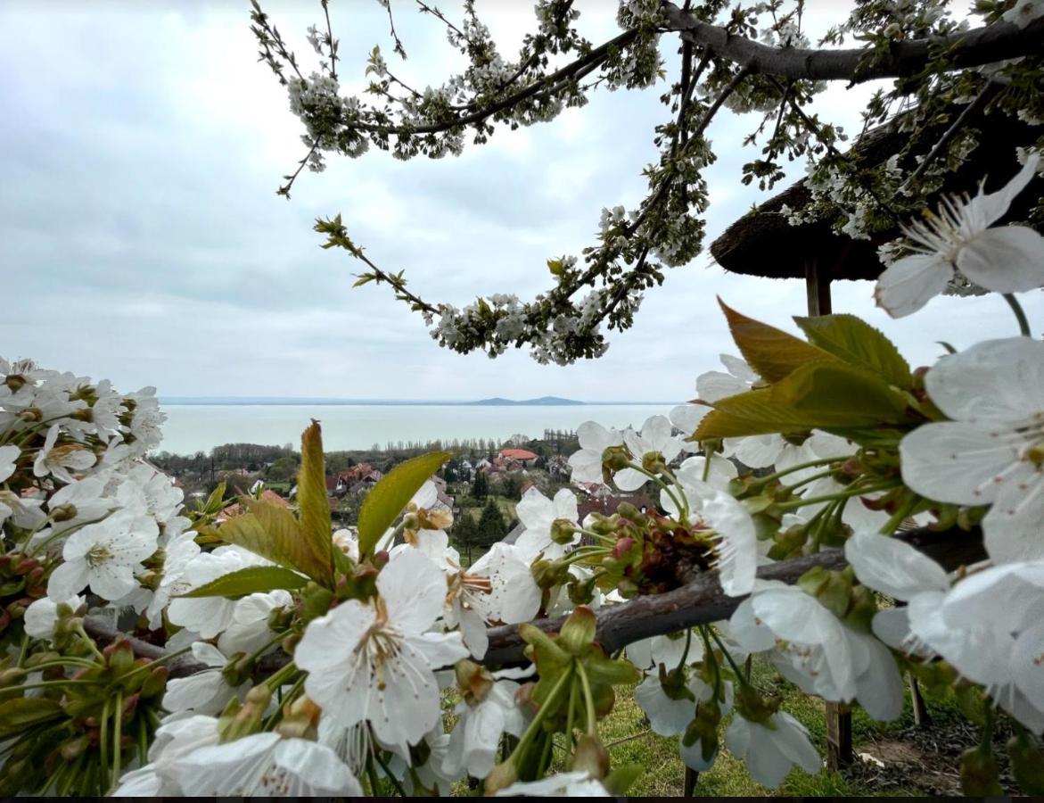 Panorama Apartmanhaz * Badacsonytomaj